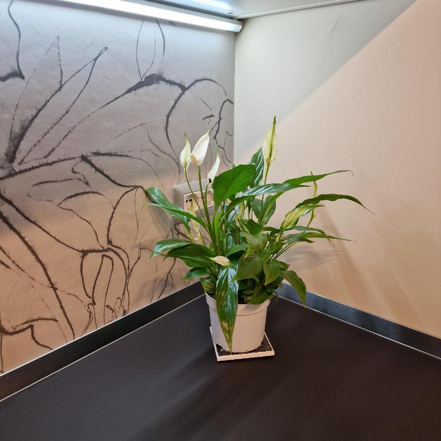 Corso Vittorio 364 Διαμέρισμα Κάλιαρι Εξωτερικό φωτογραφία